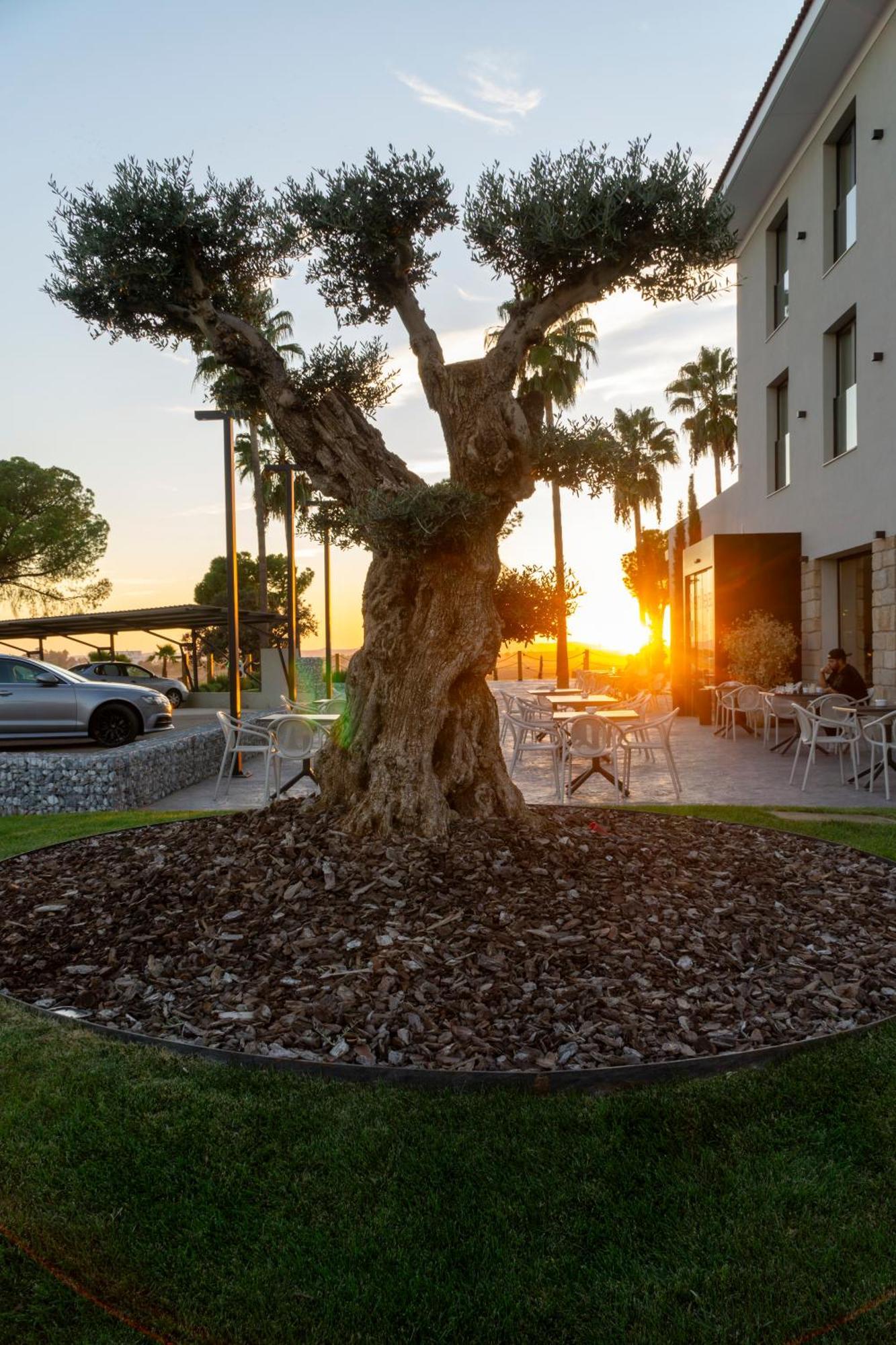 Hotel Rural Finca La Desa Miajadas Екстериор снимка